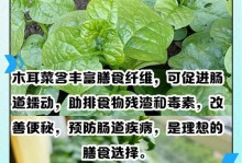 木耳菜的营养与健康功效（探秘木耳菜的营养成分及烹饪方式）