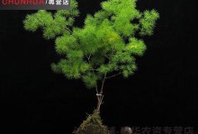 记录仪调节球松了怎么办？（掌握正确方法，及时修复记录仪调节球松动问题）