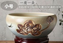 荷花种植（水培和土培的优缺点对比及适用场景）