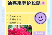 如何处理以仙客来木浇多了的问题（应对过度浇水的有效措施及关键要点）