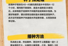 玫瑰花种植的时间与技巧（打造美丽花园，从玫瑰开始）