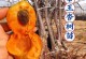 家里能种杏树吗？-从实践出发，教你在家种植杏树