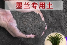 墨兰换土指南（了解墨兰换土时间及正确方法，让你的墨兰茁壮成长）