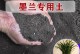 墨兰换土指南（了解墨兰换土时间及正确方法，让你的墨兰茁壮成长）