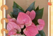 冬季粉掌养护指南（粉掌花的冬季养护技巧和注意事项）