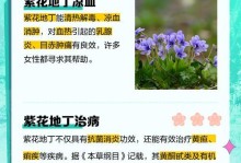 探秘地丁的神奇功效（草药巨匠，人体保健之良方）