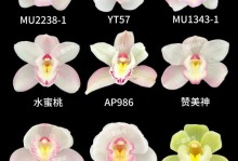 以惠兰花怎么种植为主题的细致指南（掌握惠兰花的种植技巧，打造美丽花园）