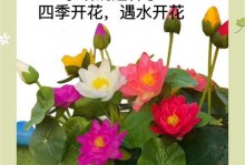 如何种植碗莲的种子（步骤详解，让您成为碗莲种植专家）
