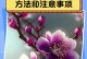 冬季如何正确为梅花换盆（梅花盆栽换盆的步骤与注意事项）
