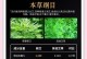 解密艾草与蒿草（这两种植物究竟有何不同？）