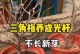 三角梅光杆不发新芽，如何处理？（解决三角梅光杆不发新芽的方法及关键技巧）
