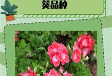 秋季天竺葵的养护秘籍（打造花园中的秋日瑰宝）