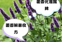 藿香花的营养与食用方法（探索藿香花的美食之旅）