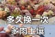 红宝石多肉换土的正确方法（保持红宝石多肉健康成长的关键）