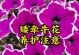 牵牛花的养护指南（打造健康美丽的牵牛花花园）
