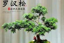 罗汉松在办公室的适宜性剖析（从美观、净化空气、降噪和健康等角度看罗汉松的优越性）