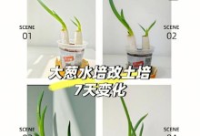 以水培的洋葱修理技巧（简单易行的方法和关键步骤）