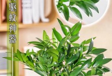 驱蚊植物的养护指南（打造无蚊生活的必备技巧）