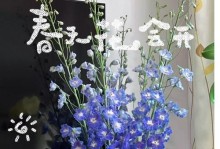 阳光照耀下的花朵美丽绽放（揭秘花草晒太阳的奥秘，让花儿更美丽）