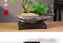 发财树的好处——为人体带来福气和健康（探索发财树对人体的秘密，让财运与健康同步）