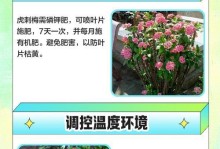 以虎刺梅怎么养（室内虎刺梅的养护技巧）