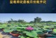 荷花开花结果时间及栽培技巧（了解荷花开花结果时间，轻松掌握栽培技巧）