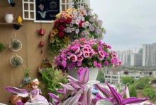 如何养护百万小玲才能开花？（百万小玲养护指南）