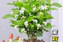 盆栽茉莉的养护指南（轻松掌握养茉莉的秘诀，让家中芬芳四溢）
