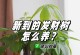 如何让发财树停止生长的秘密（控制发财树生长的关键技巧）