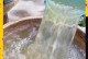 水培栀子花的上盆方法与技巧（掌握关键步骤，让栀子花健康生长）