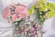 相思梅的养护指南（爱花人士必备的相思梅养殖技巧）