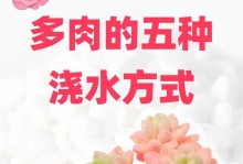 夏季植物浇水技巧（科学浇水，让夏季植物茁壮成长）