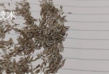 生菜种子的传播方式及技巧（掌握生菜种子的繁殖技术，助力你的菜园生机勃勃）