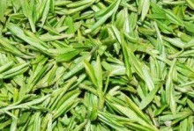 茶花种子发芽时间长短的原因（探究茶花种子发芽的影响因素）