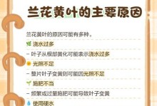白兰花叶子掉光了怎么办？（教你抢救白兰花叶子掉光的方法）