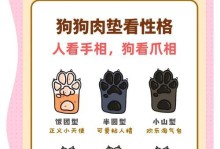 修剪肉肉植物形状的技巧与方法（打造理想的肉肉植物外形，提升美观度与品种特性展示）