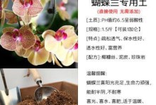 蝴蝶兰种植必知的土壤选择（如何选用适合蝴蝶兰的土壤？）