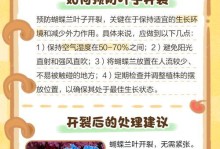 蝴蝶兰叶子掉了的原因及解决方法（探寻蝴蝶兰叶子掉落的奥秘，提供有效的处理建议）