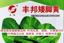 矮脚白菜的最佳播种时间（如何选择合适的播种时间，从而提高收成率）