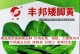 矮脚白菜的最佳播种时间（如何选择合适的播种时间，从而提高收成率）
