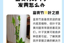 开运竹黄了怎么办？（利用竹黄提升运势，让好运势如破竹般到来！）