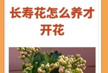 长寿花病虫害的综合防治措施
