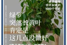 绿萝叶子发黄的原因及应对方法（以牛奶浇水导致绿萝叶子发黄的应急处理方法）