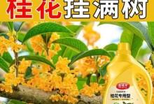 如何科学地催开桂花？（时间、方法、关键注意事项全在这里！）