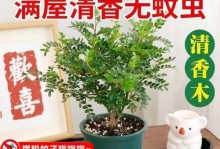 打虫保健（培养健康的盆栽，从打虫开始！）