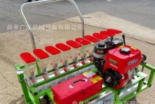 如何成功种植一片茂盛的柴胡园（时间、方法、关键点详解，打造高产的柴胡种植基地）