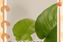 如何防止空调房中绿萝变黄（掌握关键技巧，让您的绿萝长青常绿）