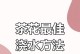 冬季养护茶花的绝佳之道（如何科学浇水让茶花在寒冷的冬季中茁壮成长）