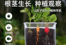 如何成功种植花朵种子（从选择种子到护理技巧，助你打造美丽的花园）