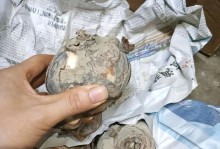 水仙花蔫的原因及护理方法（探寻水仙花蔫的奥秘，教你如何精心呵护你的水仙花）